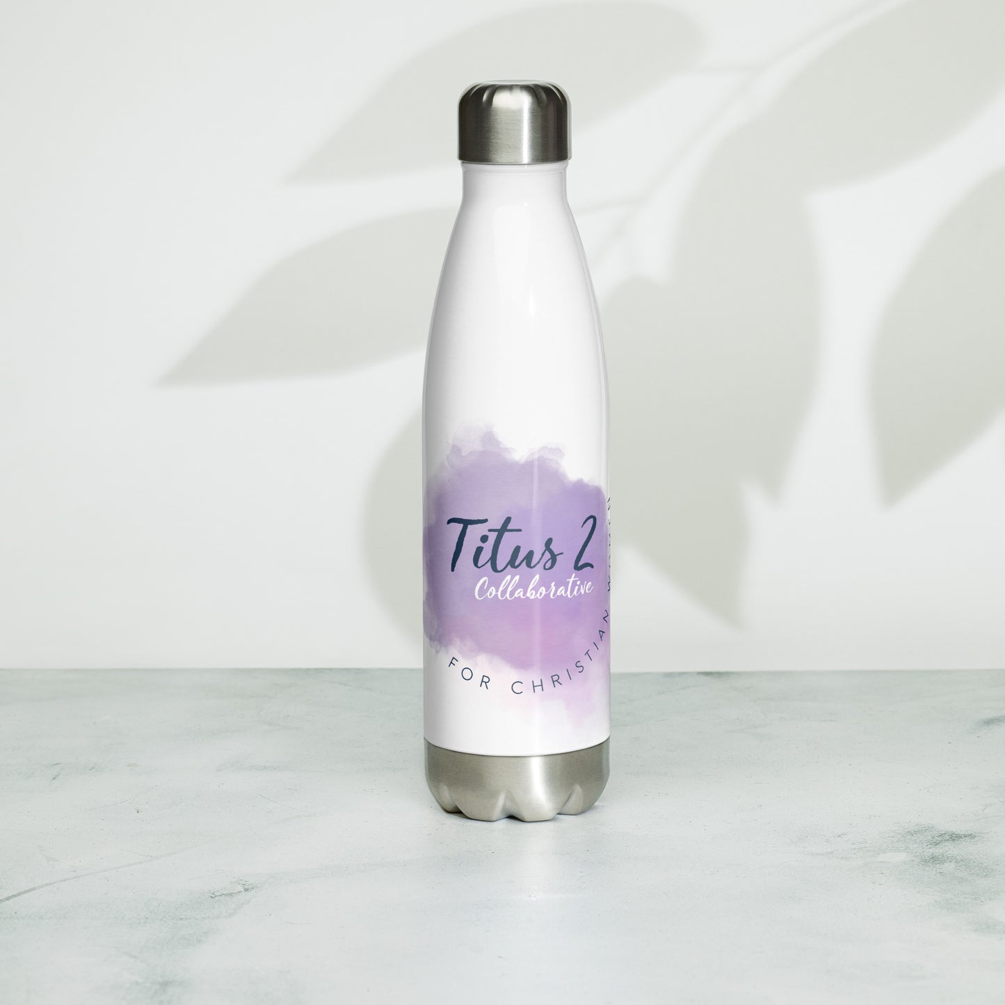 Titus 2 Collaborative Stainless Steel Water Bottle